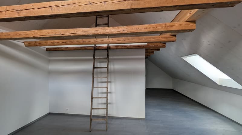 Neubau, moderne 2.5 - Zimmer Attika Wohnung im Eigentumsstandart (14)