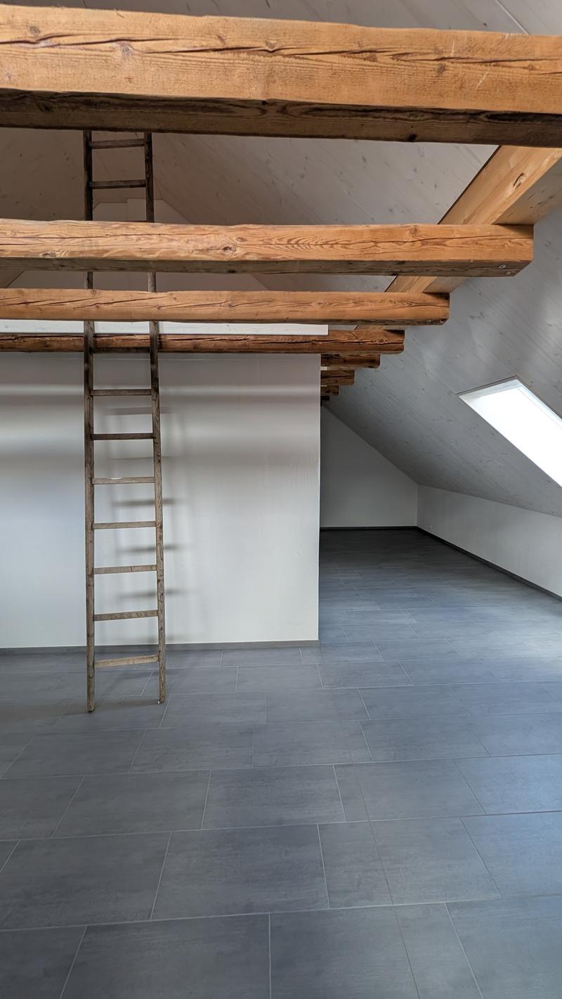 Neubau, moderne 2.5 - Zimmer Attika Wohnung im Eigentumsstandart (13)