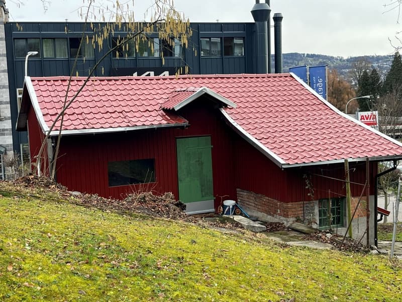 Versatile commercial space with studio character in Au ZH (2)