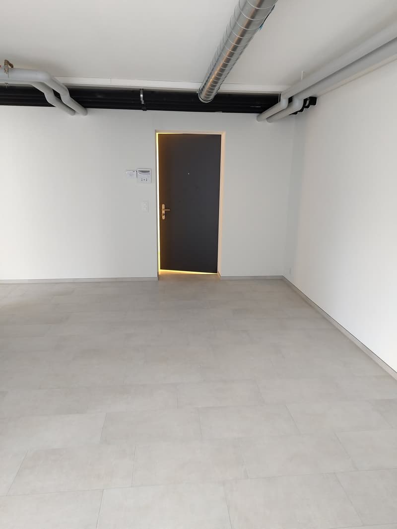 Grosszügiges Büro / Atelier mit Sitzplatz in Pfäffikon SZ, Erstbezug (5)