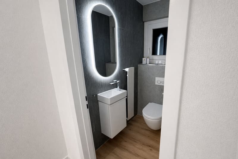 Freshly renovated, sunny 4.5 room apartment with lake view and private garden (4)