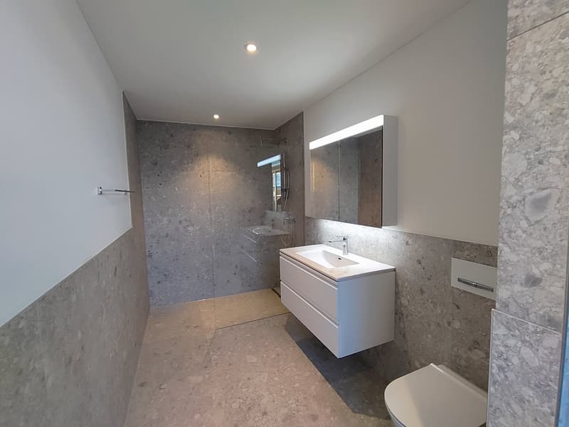 Luxuriöse, ruhige 2.5-Zimmer-Attikawohnung mit zwei grossen Terrassen in Erstvermietung (4)