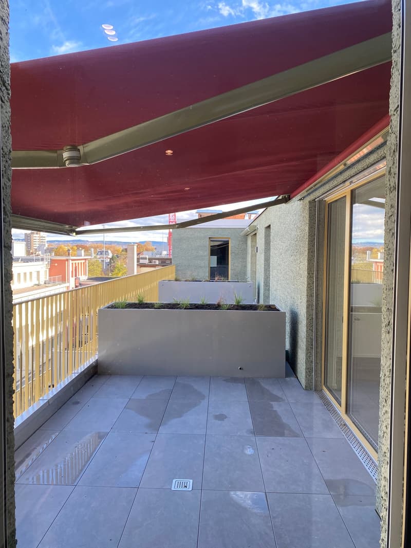 Luxuriöse, ruhige 2.5-Zimmer-Attikawohnung mit zwei grossen Terrassen in Erstvermietung (9)
