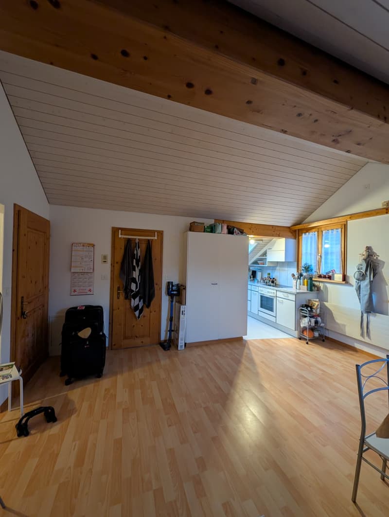 Charmante 3.5-Zimmer-Dachwohnung in Schleitheim (1)