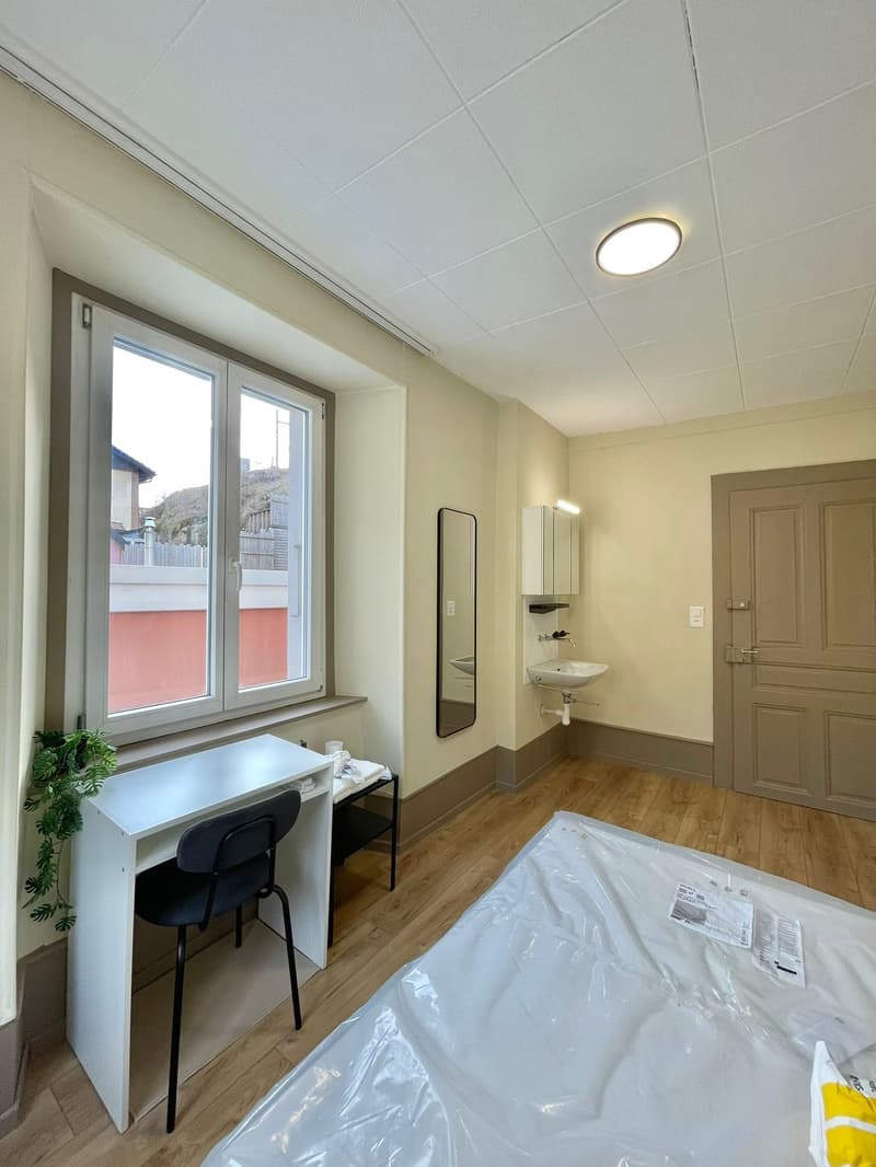 Immeuble – Hôtel-de-Ville 50 - 8.2% - Rénové (6)
