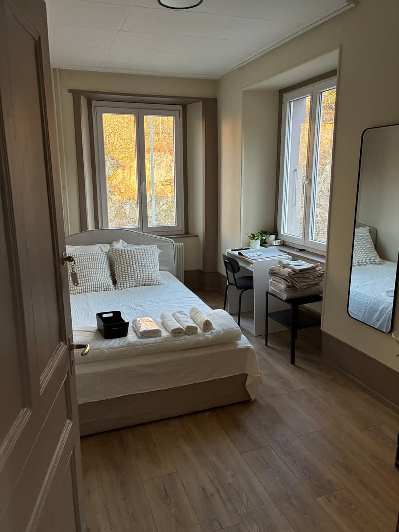 Immeuble – Hôtel-de-Ville 50 - 8.2% - Rénové (4)