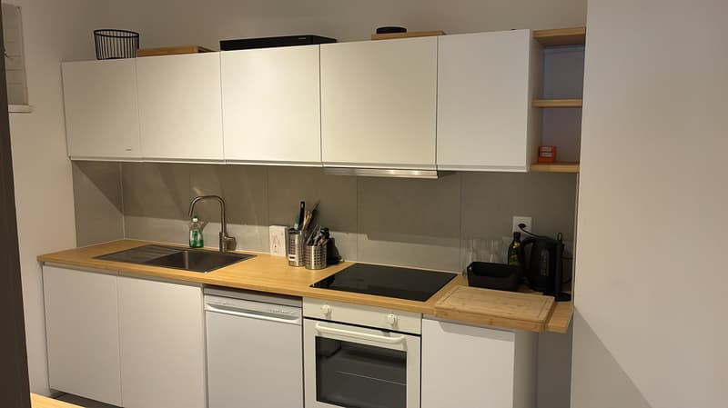 Immeuble – Hôtel-de-Ville 50 - 8.2% - Rénové (10)