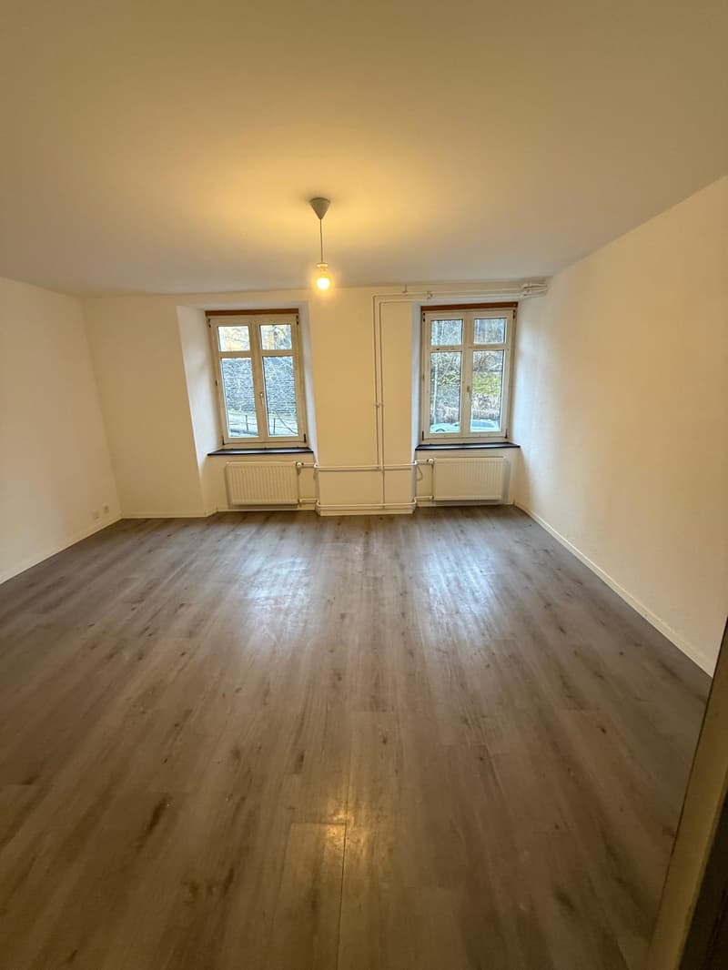 4 appartements rénovés – Hôtel-de-Ville 48 (8)