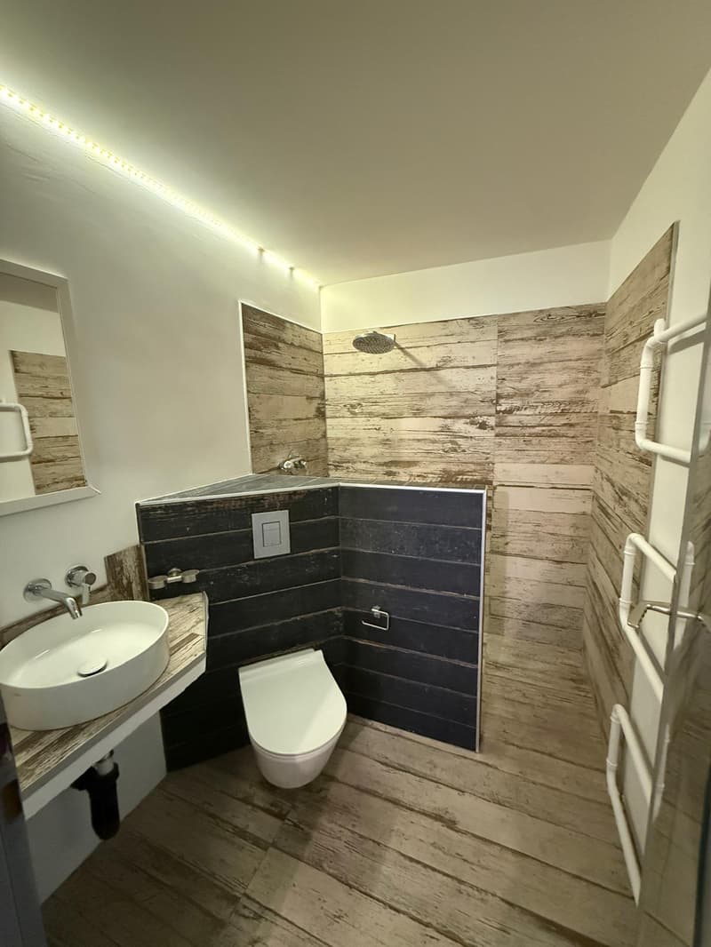4 appartements rénovés – Hôtel-de-Ville 48 (7)
