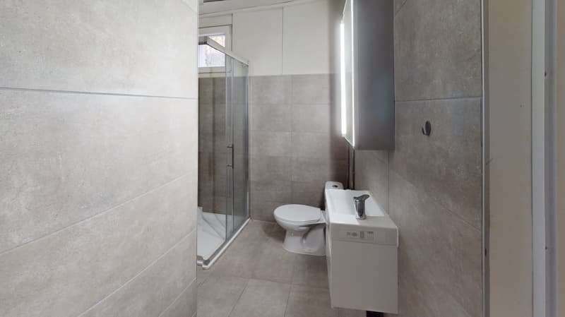 4 appartements rénovés – Hôtel-de-Ville 48 (9)