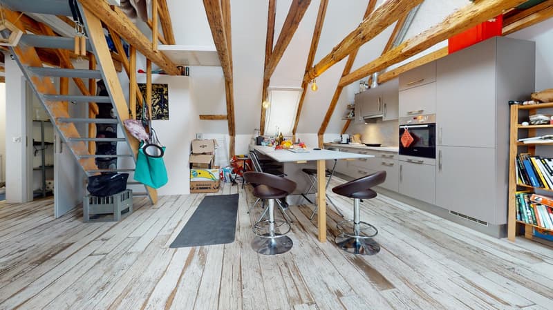 4 appartements rénovés – Hôtel-de-Ville 48 (3)