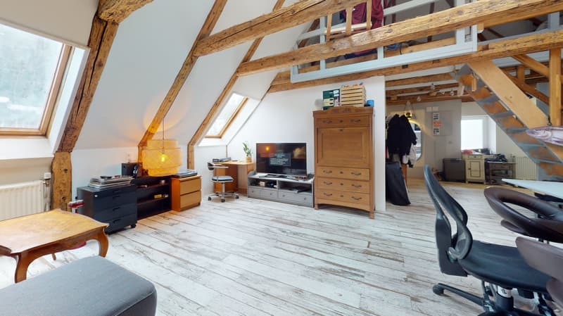 4 appartements rénovés – Hôtel-de-Ville 48 (10)