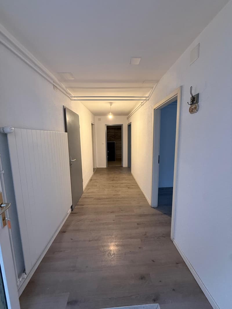 4 appartements rénovés – Hôtel-de-Ville 48 (5)