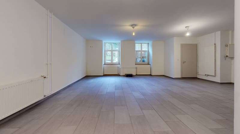 4 appartements rénovés – Hôtel-de-Ville 48 (11)