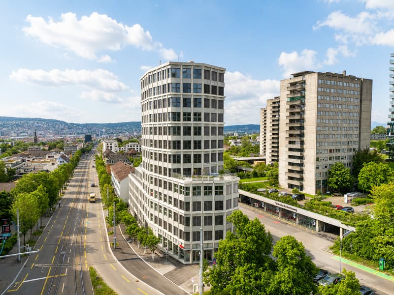 Modern 2.5-room apartment on Birmensdorferstrasse in Zürich-Wiedikon (1)
