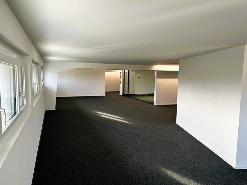 Modern commercial spaces in top location | Office | Practice | Service | Data center | over 800 m² (16)