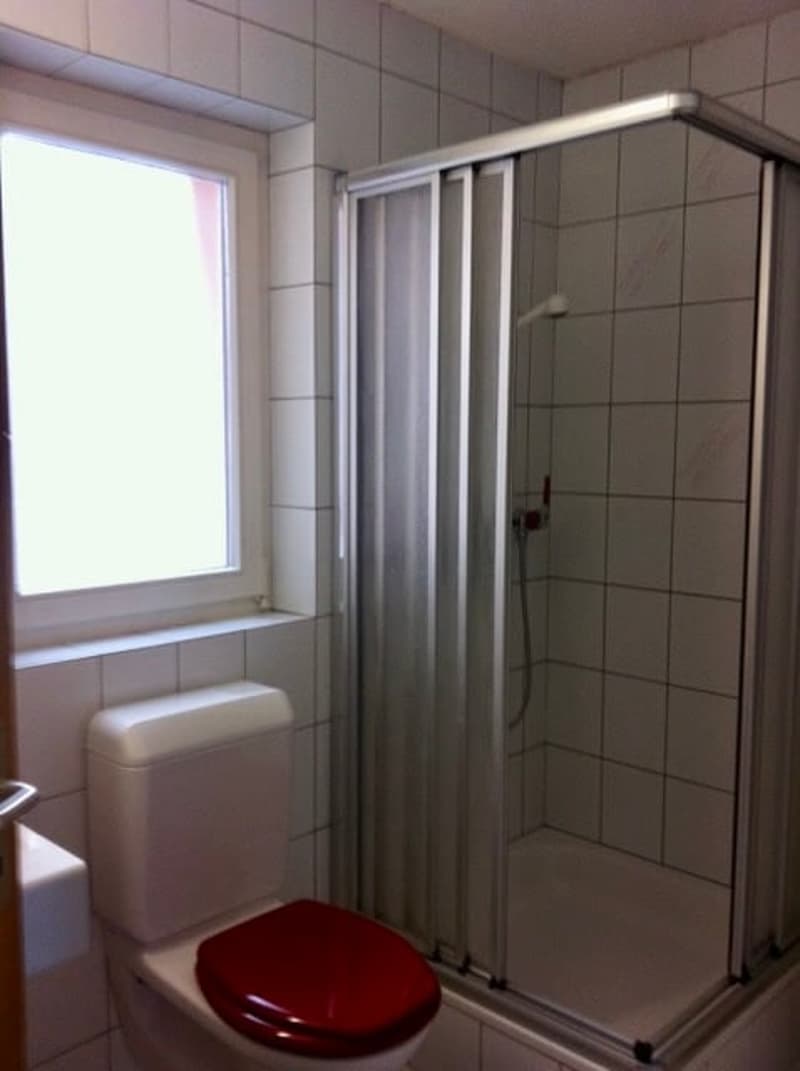 Charmant duplex de 4.5 pièces à Le Landeron – Disponible 1 Septembre ou à convenir (2)
