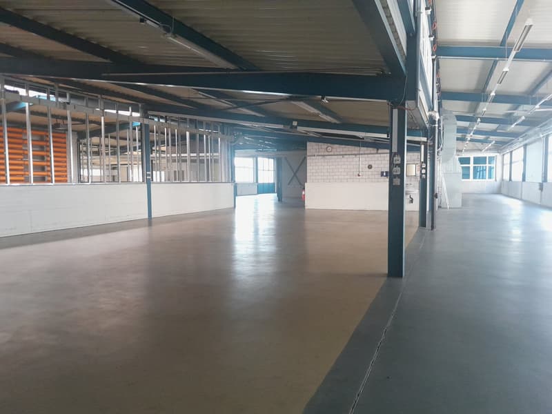 Vielseitige Gewerbefläche in Wetzikon mit optimaler Verkehrsanbindung (6)