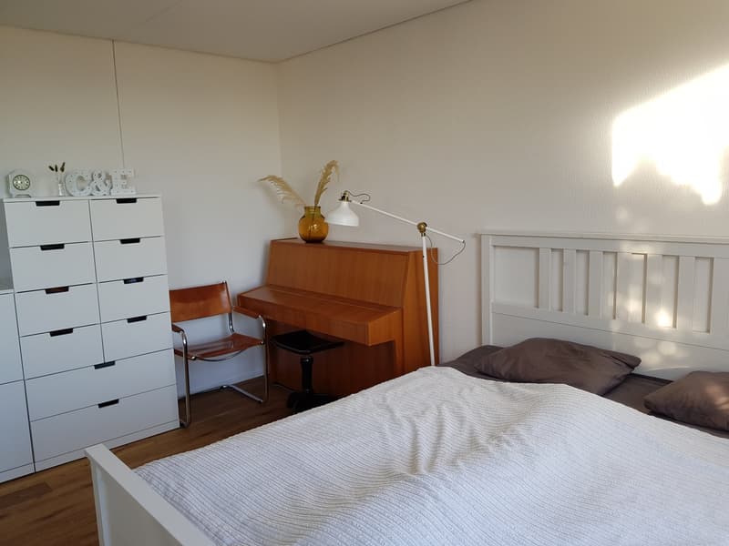 Einfamilienhaus mit Weitsicht in Lostorf (7)
