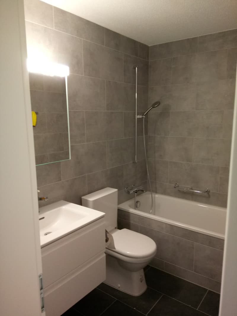 Helle 3.5 Zimmer- Wohnung mit Balkon und top Anbindung an ÖV (5)