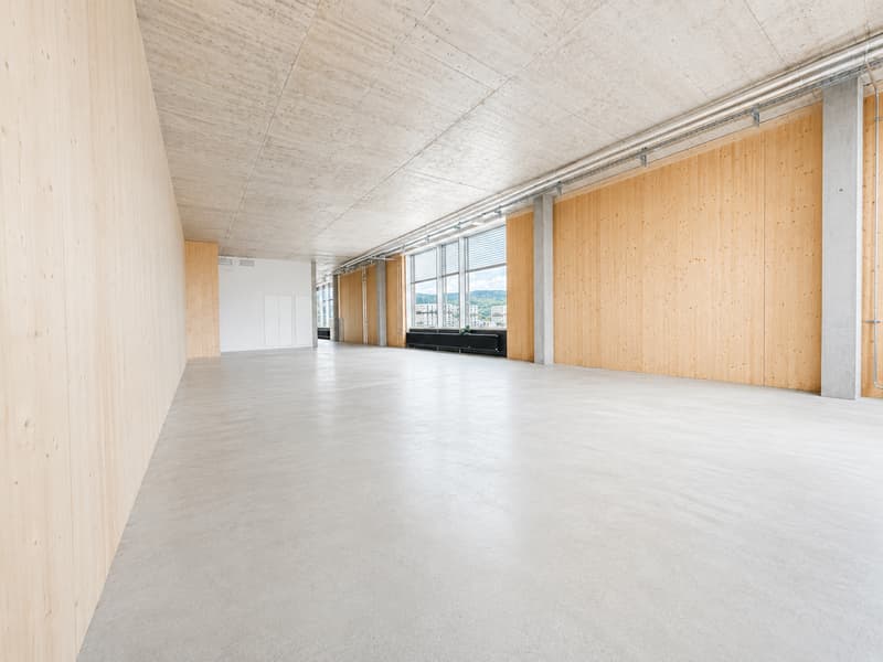 Modernes Büro mit Terrasse und schöner Aussicht in Zürich-Albisrieden (2)