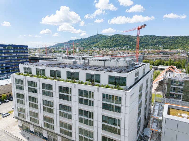 Modernes Büro mit Terrasse und schöner Aussicht in Zürich-Albisrieden (4)