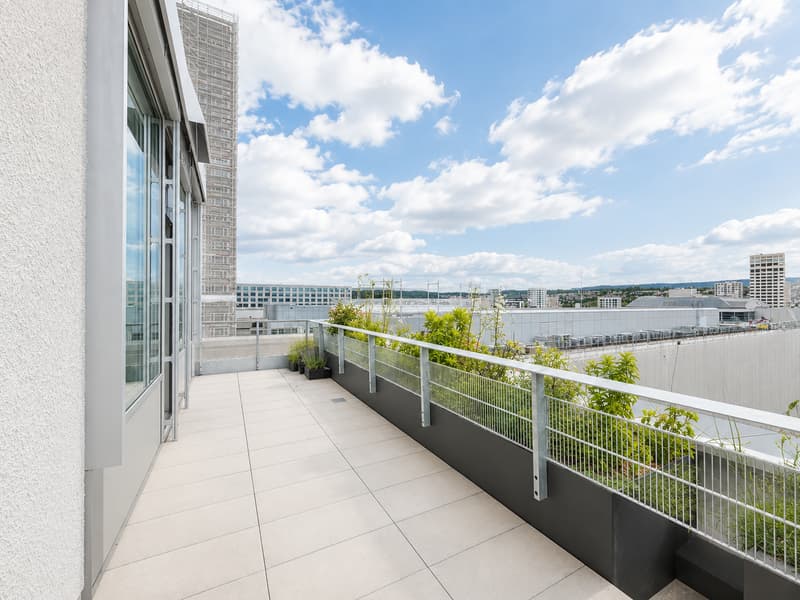 Modernes Büro mit Terrasse und schöner Aussicht in Zürich-Albisrieden (3)