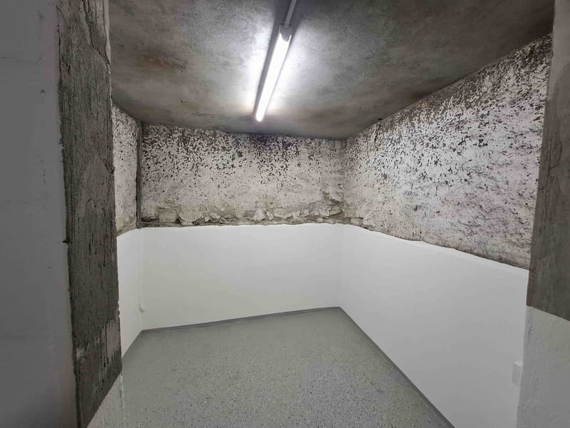 Charmantes 3.5-Zimmer-Doppelhaus in Oberriet – ab sofort verfügbar! (6)