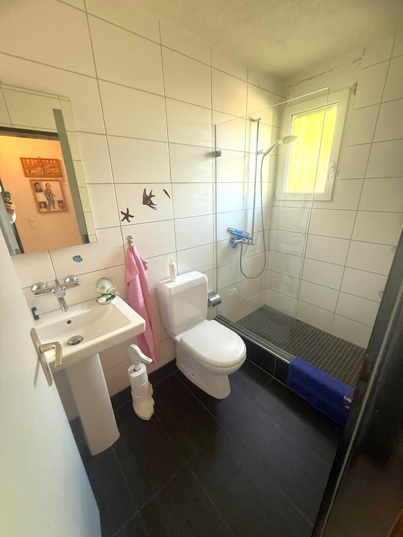 Grosszügiges Einfamilienhaus mit Pool, Wintergarten und vielseitigem Raumangebot (10)