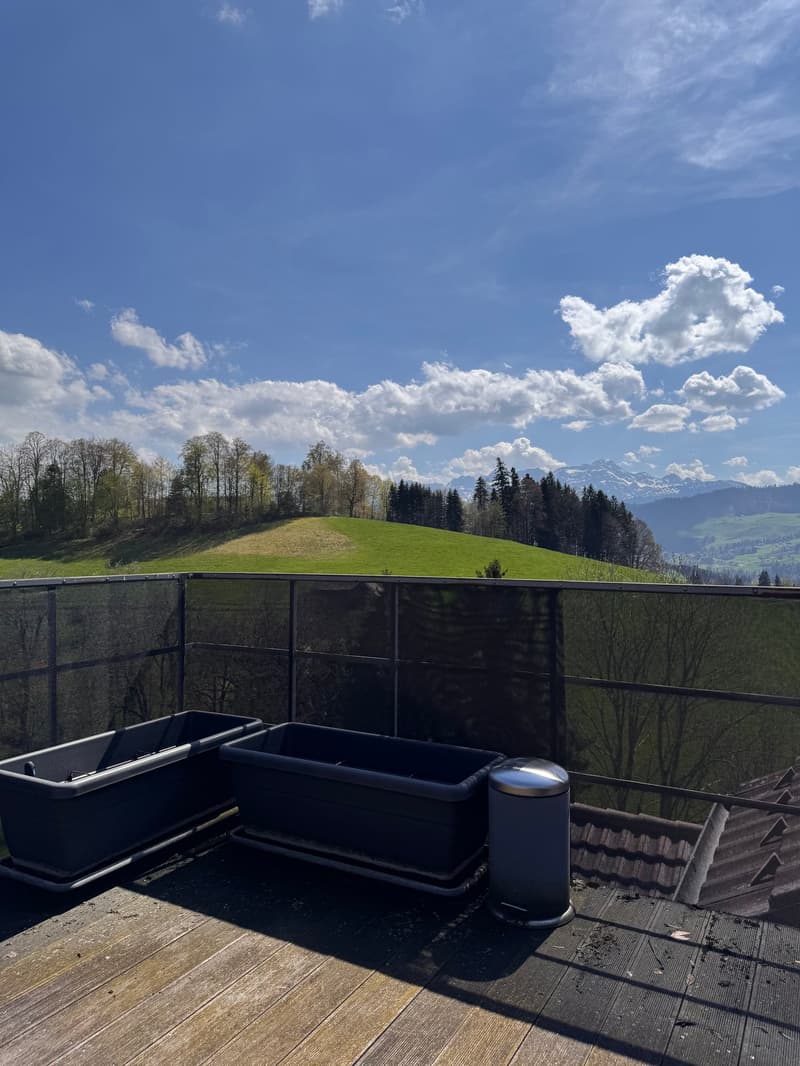 2.5-Zi-Maisonettewohnung mit Dachterrasse (8)