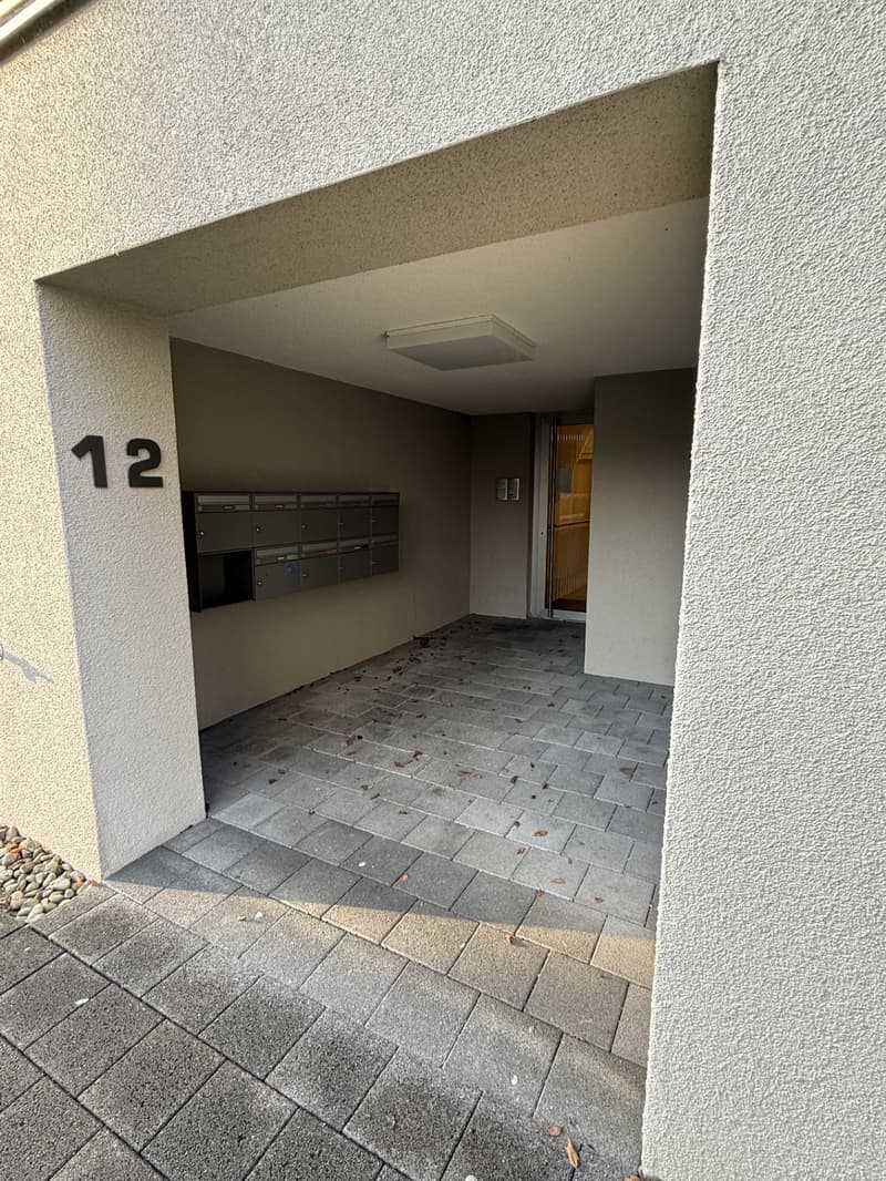 Grosszügige Attikawohnung in ruhigem Wohnquartier (3)
