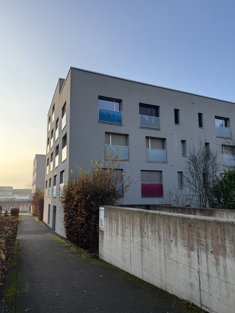 Grosszügige Attikawohnung in ruhigem Wohnquartier (1)