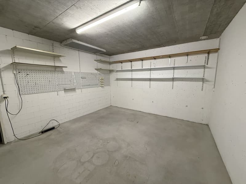 Grosszügige Attikawohnung in ruhigem Wohnquartier (25)