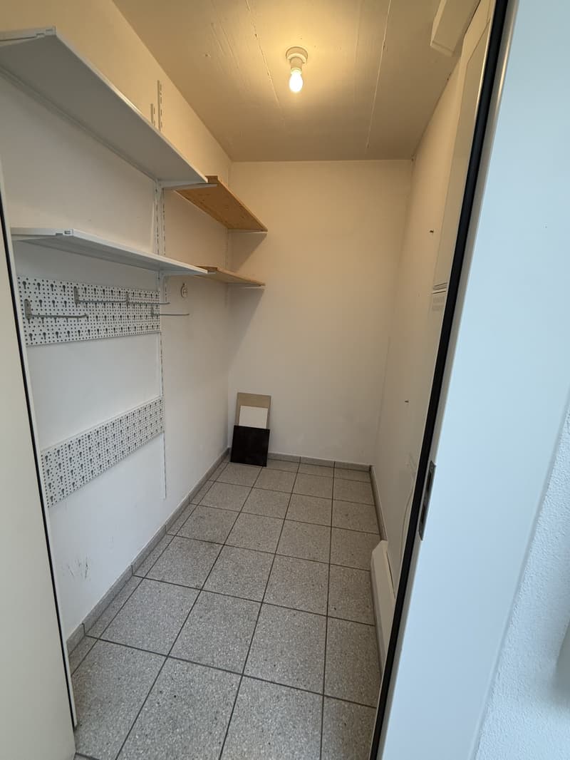 Grosszügige Attikawohnung in ruhigem Wohnquartier (16)
