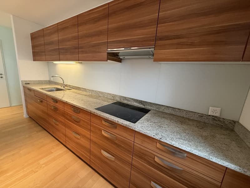 Grosszügige Attikawohnung in ruhigem Wohnquartier (6)