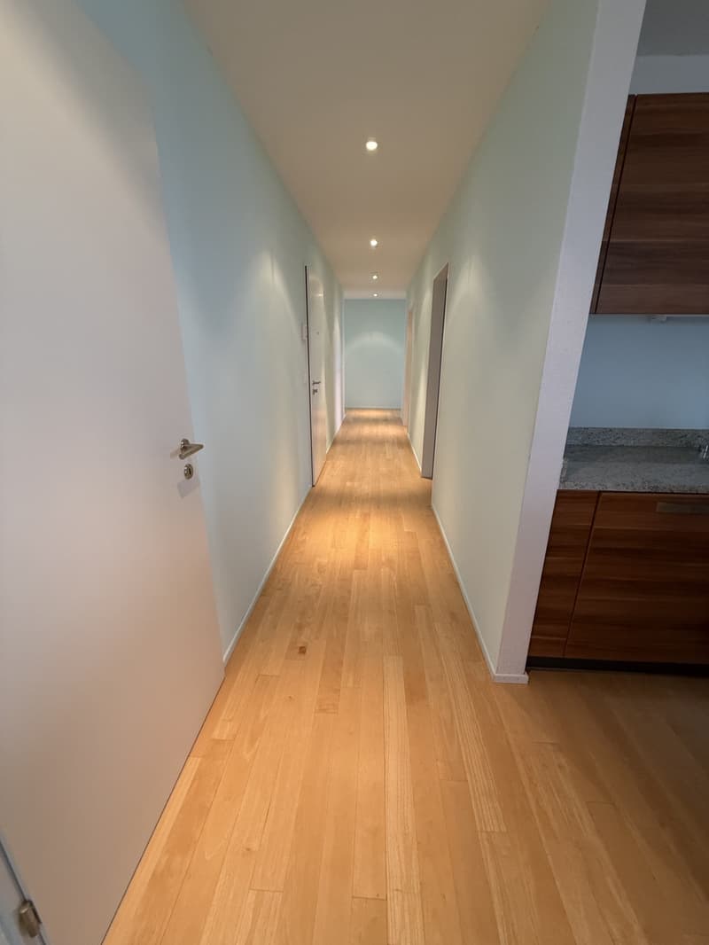 Grosszügige Attikawohnung in ruhigem Wohnquartier (10)