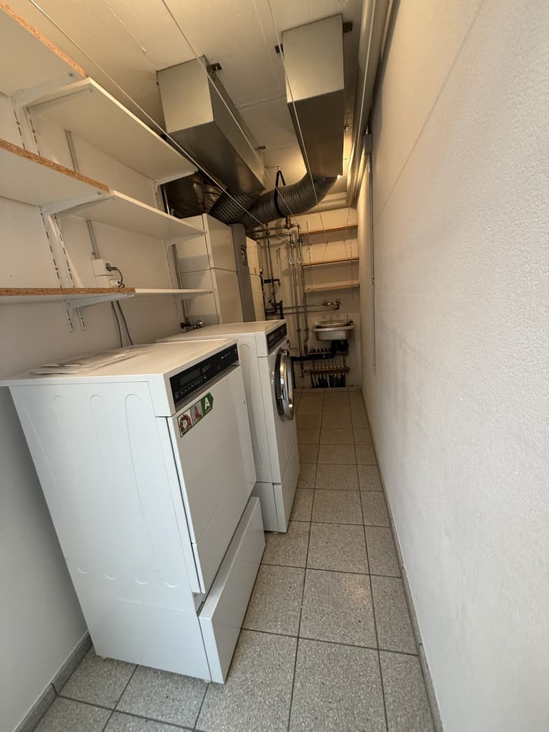 Grosszügige Attikawohnung in ruhigem Wohnquartier (23)