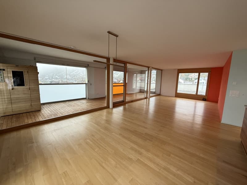 Grosszügige Attikawohnung in ruhigem Wohnquartier (8)