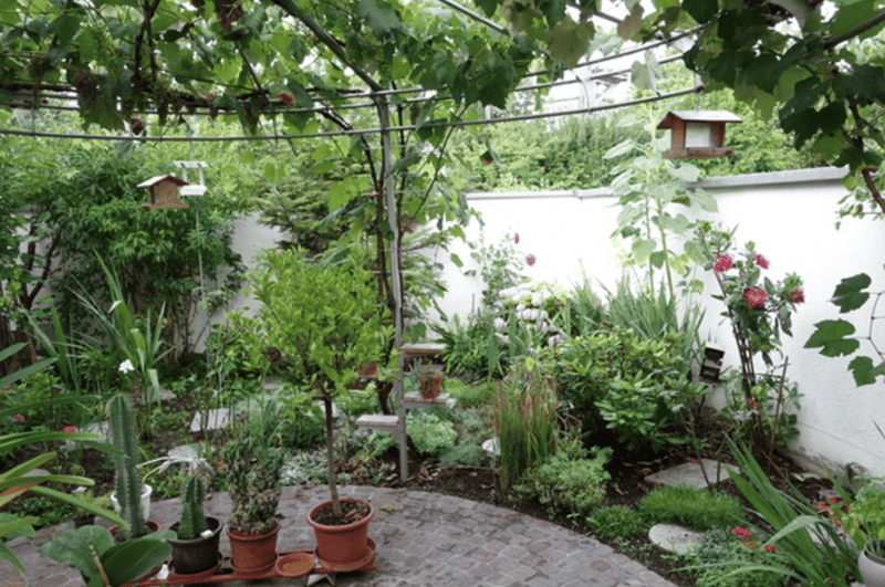 6 1/2-Zimmer-Atrium-Einfamilienhaus im Zentrum (3)