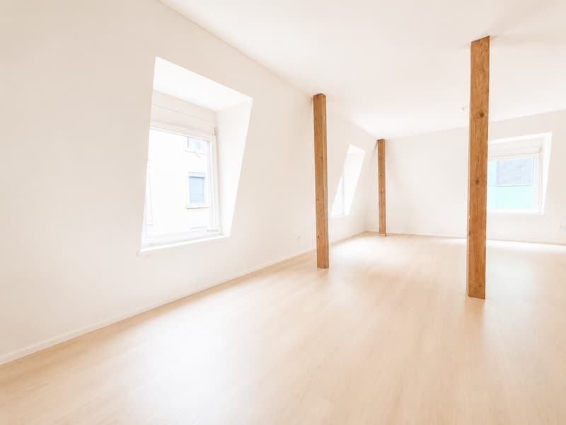 IHR RÜCKZUGSORT IM HERZEN VON ZÜRICH – EXKLUSIVE DACHWOHNUNG (3)