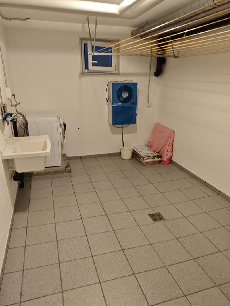 Exklusive EFH-Alternative: 4.5-Zimmer-Wohnung in Lohn-Ammannsegg (135 m²) (31)