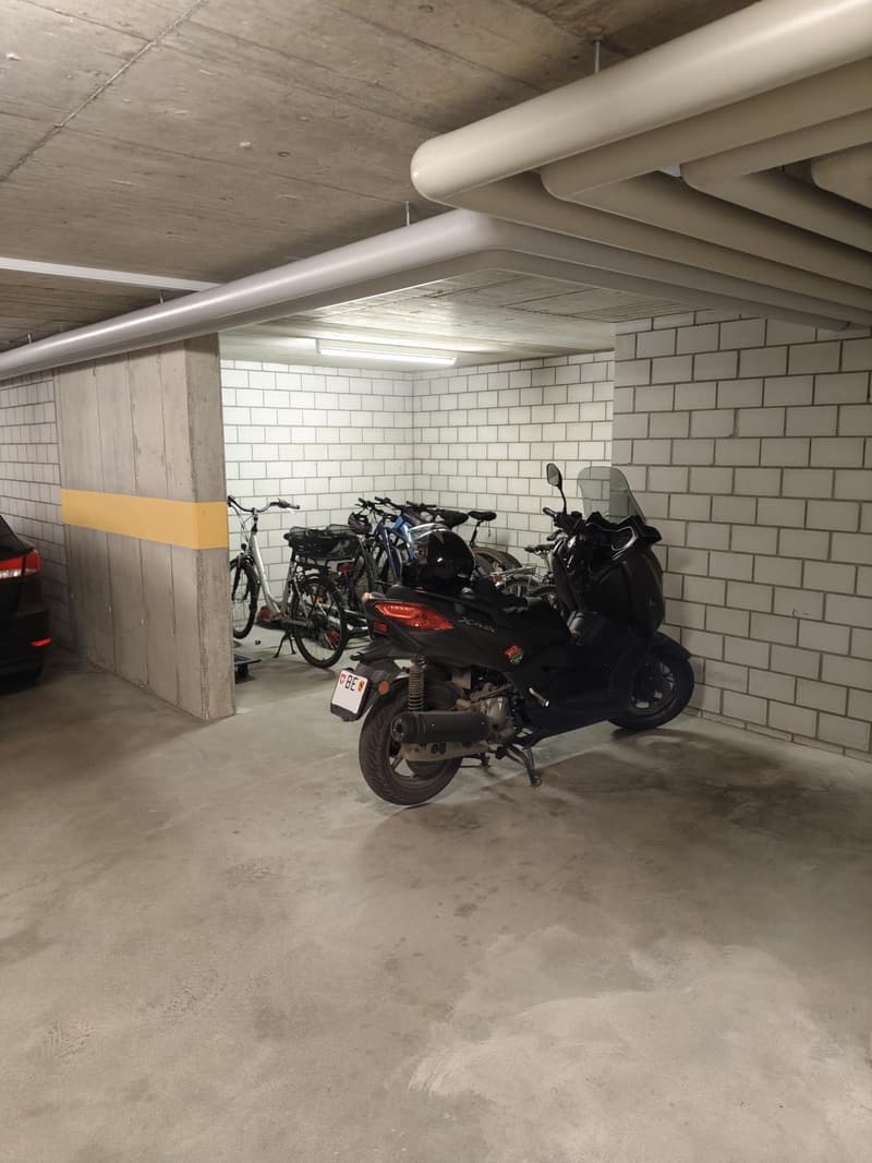 Exklusive EFH-Alternative: 4.5-Zimmer-Wohnung in Lohn-Ammannsegg (135 m²) (37)