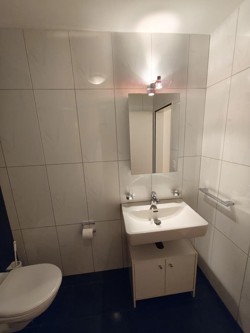 Exklusive EFH-Alternative: 4.5-Zimmer-Wohnung in Lohn-Ammannsegg (135 m²) (30)