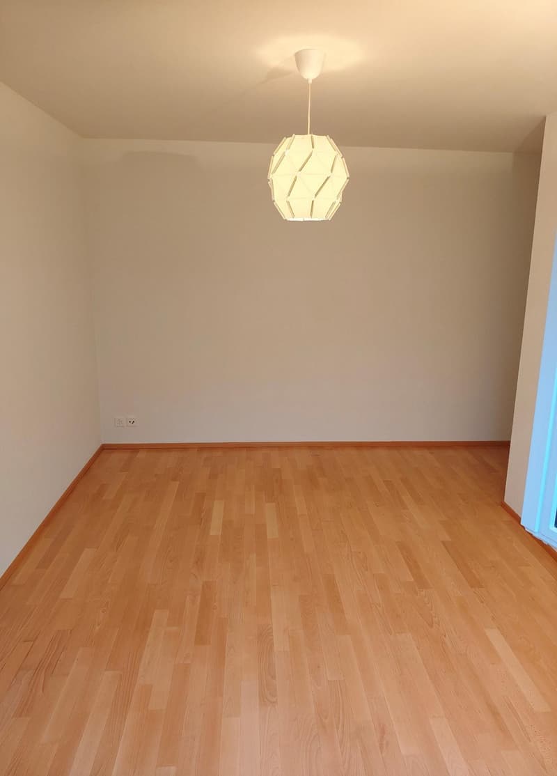 Exklusive EFH-Alternative: 4.5-Zimmer-Wohnung in Lohn-Ammannsegg (135 m²) (19)