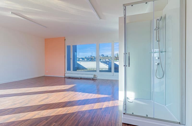 Zentrale, Ruhige, Wohnung mit 100m2 Dachterrasse (2)