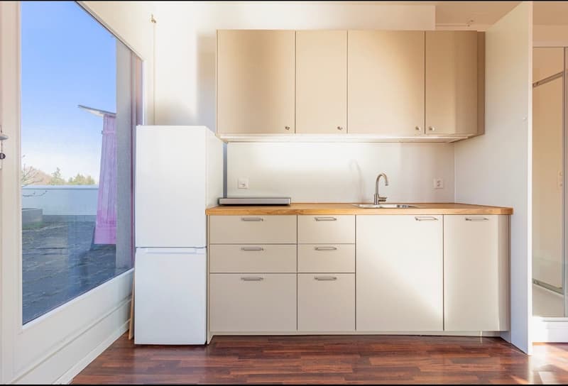 Zentrale, Ruhige, Wohnung mit 100m2 Dachterrasse (5)