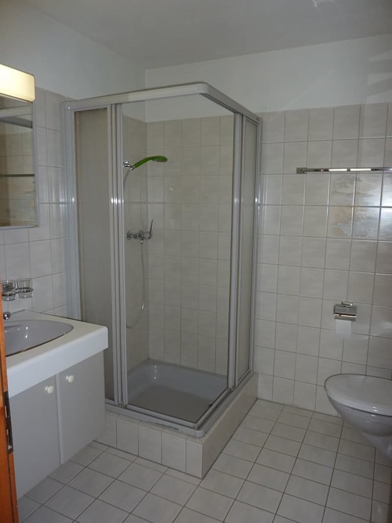 Gemütliche 2.5-Zimmer-Wohnung mit grossem Sitzplatz (9)