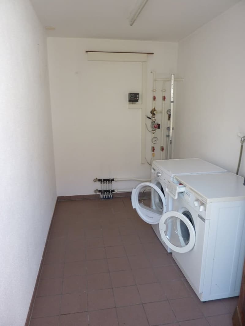 Gemütliche 2.5-Zimmer-Wohnung mit grossem Sitzplatz (10)