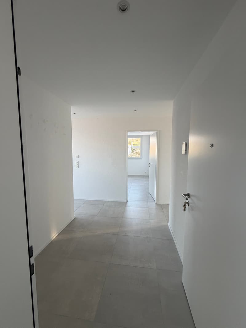 Moderne 3.5-Zimmer-Erdgeschosswohnung mit Gartensitzplatz in Büsserach (5)