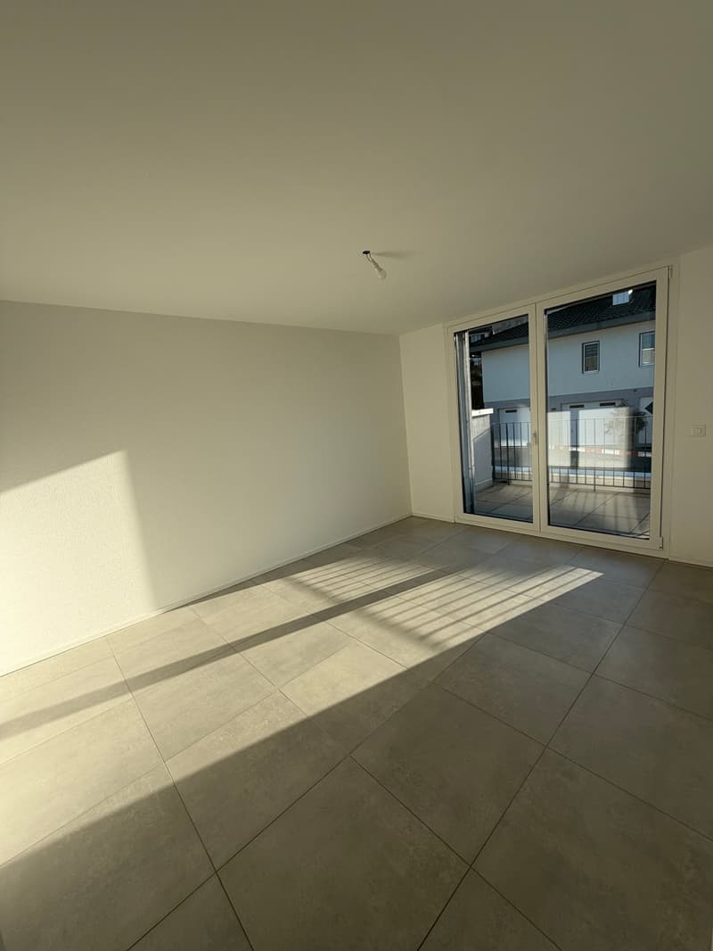 3.5-Attika-Wohnung mit fantastischem Ausblick (6)